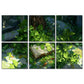 BUBOS 6-Pack Acoustic Panel-Clover Chronicles