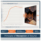 BUBOS 6-Pack Acoustic Panels-Timber Code